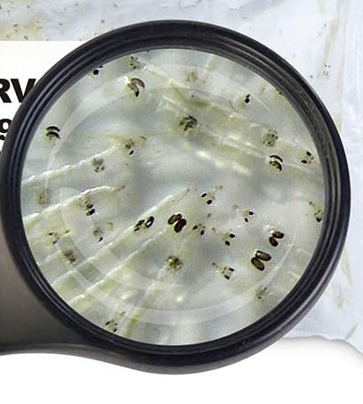 Lebendfutter Fischfutter SAHAWA 5 x 90ml Weiße Mückenlarven Lebendfutter Fischfutter SAHAWA 5 x 90ml Weiße Mückenlarven von SAHAWA