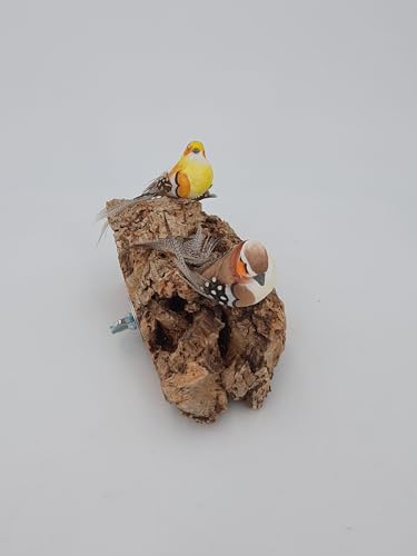 Vogelsitzbrett Natur Kork 15x 10 cm für Wellensittiche Kanarienvögel Papageien mit Befestigungsschraube von Sahawa