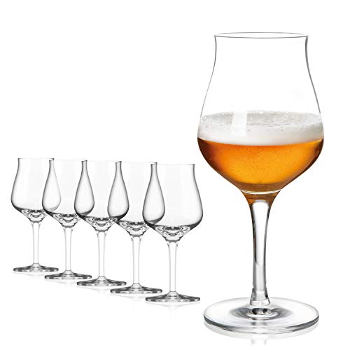 Sahm Biergläser Set 6 STK - 420ml Bier Sensorik Pokal - Bier Gläser Spülmaschinengeeignet - Ideales Gourmet Bier Geschenk & Craft Beer Gläser von Sahm