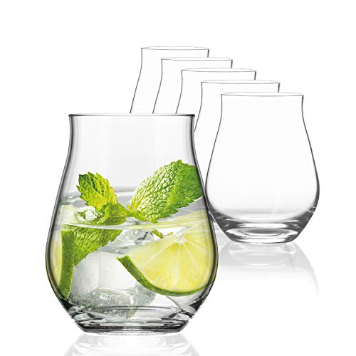 Sahm Sensorik Gin Gläser Set 6 Stück - 420ml Sensorik Gin Tonic Gläser - Tolles Gin Geschenkset von Sahm