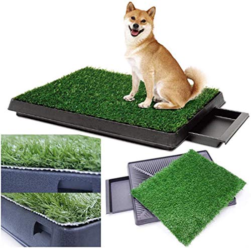 63 x 50 x 7cm Hundeklo Toilette Stubenrein - Perfekt für Welpen und ältere Hunde, Innen- und Außenbereich 63 x 50 x 7cm Hundeklo Toilette Stubenrein - Perfekt für Welpen und ältere Hunde, Innen- und Außenbereich von Sailnovo