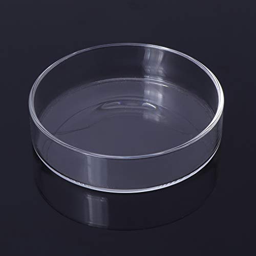 Garnelenversorgglas Fütterungsschale Aquariumfisch Für Reptilien Rund Klare Lebensmittelschale 3 9 "3 5" 3 2 "3 0" 2 6 "2 4" Trenfischtanklieferungen Garnelenröhrchen Und Röhrchen Und Glasschalen von Saiyana