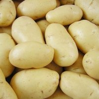 Echte Kartoffelsamen Milena Natural Solanum Tuberosum Seltene Gemüsesamen Aus Der Ukraine von SakuraHaruna