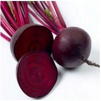 Gemüsesamen Beetroot Abgerundet Dunkelrot Aus Der Ukraine 150 Samen von SakuraHaruna