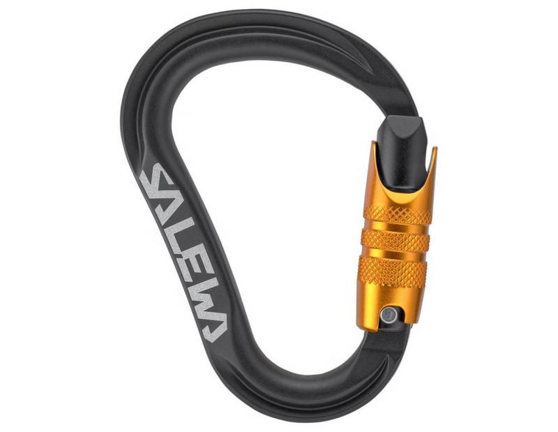 Salewa Karabiner Karabiner Ortles HMS C.3 M Salewa Karabiner Karabiner Ortles HMS C.3 M von Salewa