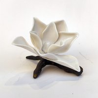 Weiße Porzellanmagnolie Auf Bronzefarbenem Ast | S von SalihaKartalStudio