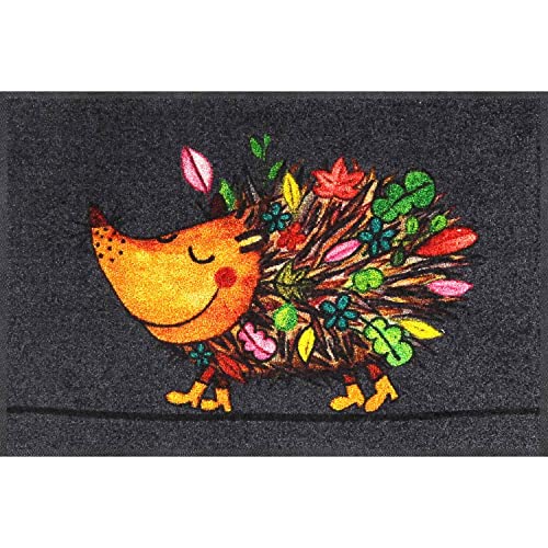 Salonloewe Funky Hedgy Fußmatte 50 x 75 cm Sauberlaufmatte Eingangs-Matte Igel bunt witzig waschbar Fussabtreter Herbst-Farben von Salonloewe