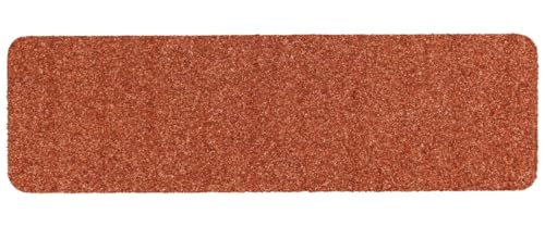 Salonloewe Fußmatte 030x100 cm Blend Terra Fußabtreter, innen, außen, Schmutzfangmatte, Sauberlauf-Teppich von Salonloewe