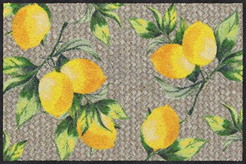 Salonloewe Lemons Pure 050x075 cm von Salonloewe