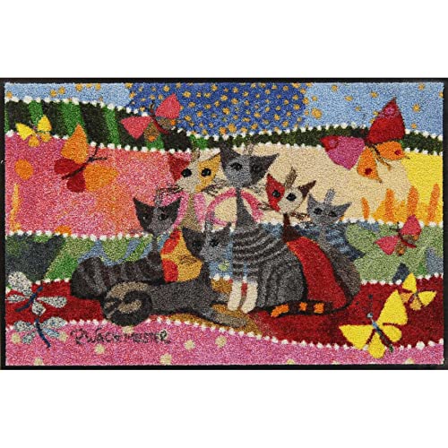 Salonloewe Rosina Wachtmeister Fußmatte Fasce di Colore 50x75 cm Eingangsmatte mit Buntem Design waschbar Fussabtreter innen und außen Flur-Teppich Design-Matte von Salonloewe