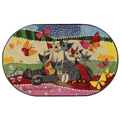 Salonloewe Rosina Wachtmeister Fußmatte waschbar Spring Fasce di Colore S75x120 cm Läufer oval Schmutzfang-Teppich waschbar Eingangs-Matte bunt und wohnlich von Salonloewe