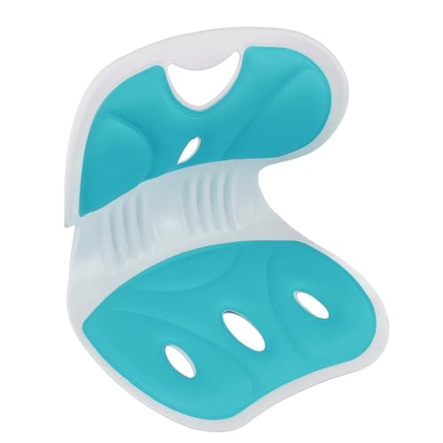 Saluaqui Ergonomische Sitzung Korrekturstuhl für und Studenten mit Blütenformgestaltung | Speicherschaum & PP -Material für Langzeitkomfort | Großer Schutz der Blauen Taille (Green) von Saluaqui