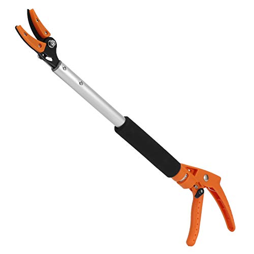 Saluaqui Schere Scharfe Obstpickerschere mit Ergonomischem Griff Zum Einfachen Beschneiden von Trauben, Pfirsichen und Hohen Zweigen - Leichte Aluminiumgartenschere für Obst und Abzweigung von Saluaqui