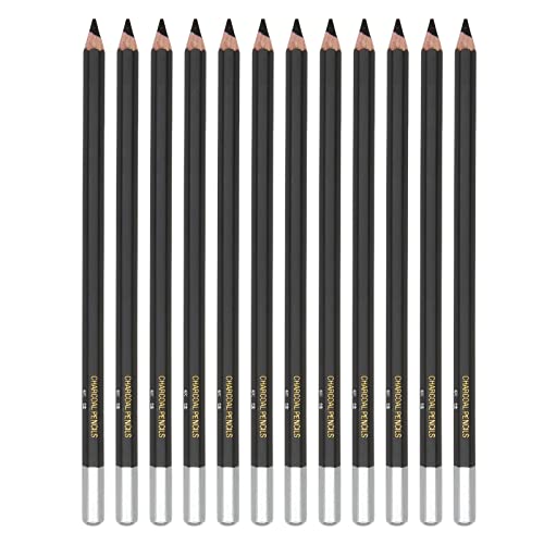 Saluaqui Schwarz Gefärbte Stifte 12pcs Weiche Holzkohle mit Exquisitem Glanz -Hex -Stift für die Skizzenzeichnung und Färbung von Saluaqui