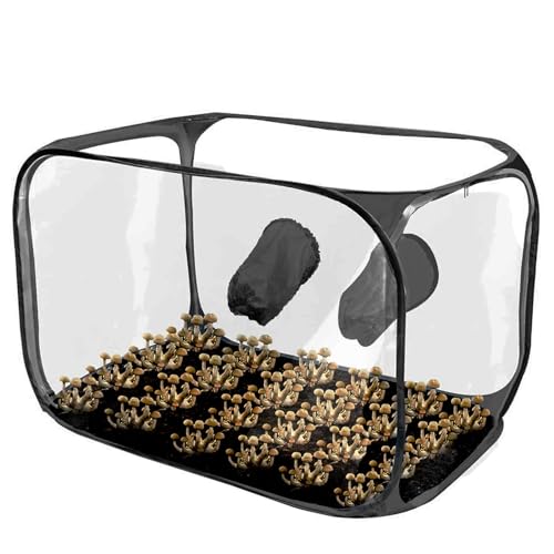Salyeeluly Mushroom Still Air Box,Still Air Box für Mushroom, Transparentes Pilz-Zelt-Set, Pilzzuchtbeutel, Gartenbaubedarf, Pop-up-Design, Faltbare Wachstumsbehälter Salyeeluly Mushroom Still Air Box,Still Air Box für Mushroom, Transparentes Pilz-Zelt-Set, Pilzzuchtbeutel, Gartenbaubedarf, Pop-up-Design, Faltbare Wachstumsbehälter von Salyeeluly