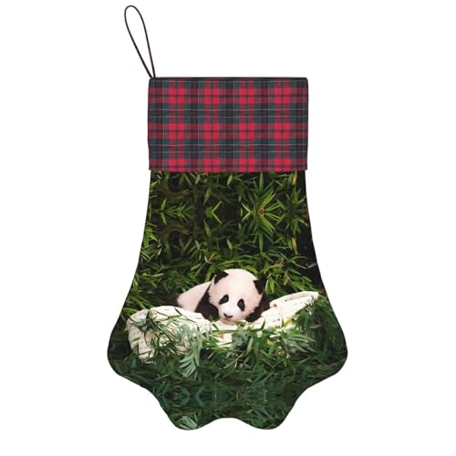 SamLng Niedlicher kleiner Panda, Weihnachtssocke für Haustiere, personalisierbar, Holz, Weihnachtsdekoration, Geschenk, perfekt für Familienurlaub, Schwarz, Einheitsgröße SamLng Niedlicher kleiner Panda, Weihnachtssocke für Haustiere, personalisierbar, Holz, Weihnachtsdekoration, Geschenk, perfekt für Familienurlaub, Schwarz, Einheitsgröße von SamLng