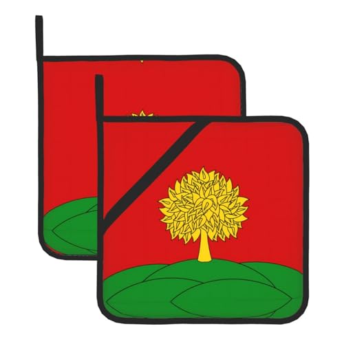Topflappen-Sets mit Flagge von Lipetsk - Hitzebeständige Topflappen zum Backen, Grillen, Handhabung zu Hause - Bequeme Verwendung in der Küche von SamLng