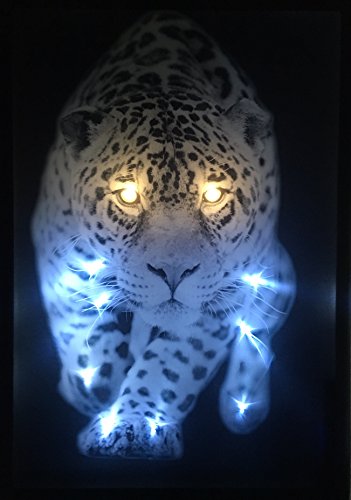 Samarkand - Lights LED-Bild mit Beleuchtung LED- Bilder Leinwandbild 65 x 45 cm Leuchtbild TIGER LEOPARD TIERE Wandbild von Samarkand - Lights