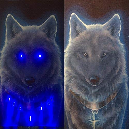 Samarkand - Lights LED-Bild mit Beleuchtung LED- Bilder Leinwandbild 65 x 45 cm Leuchtbild Wandbild WOLF von Samarkand - Lights