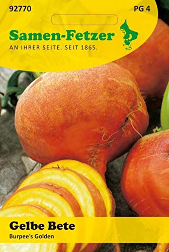 Gelbe Bete Burpee's Golden von Samen-Fetzer