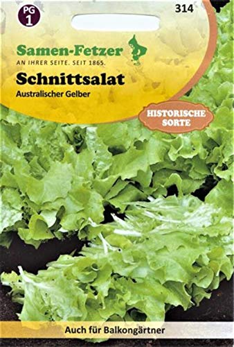 Schnittsalat Australischer Gelber (Salatsamen) von Samen-Fetzer