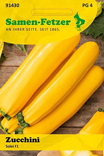 Zucchini Solei (Orelia) F1 von Samen-Fetzer