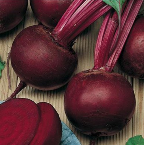 Rote Rüben Rote Beete Bonel 5 g Züchtersaat für 5 m² Samen Rote Rüben Rote Beete Bonel 5 g Züchtersaat für 5 m² Samen von Samen-Gernand