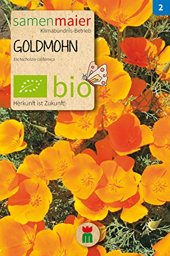 BIO Goldmohn, orange (Eschscholzia californica) von Samen Maier GmbH