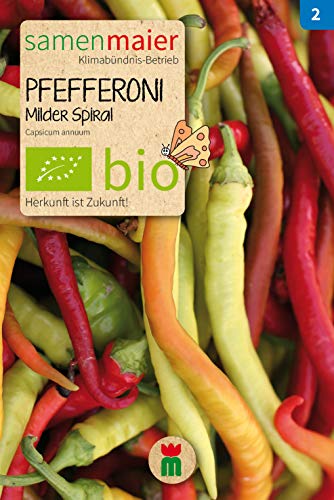 BIO Pfefferoni Milder Spiral (Capsicum annuum) von Samen Maier
