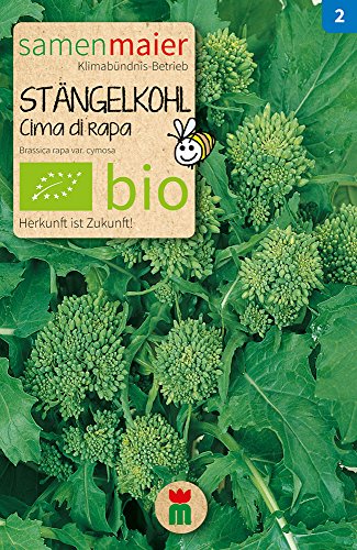 BIO Stängelkohl, Cima di rapa (Brassica rapa var. cymosa) von Samen Maier