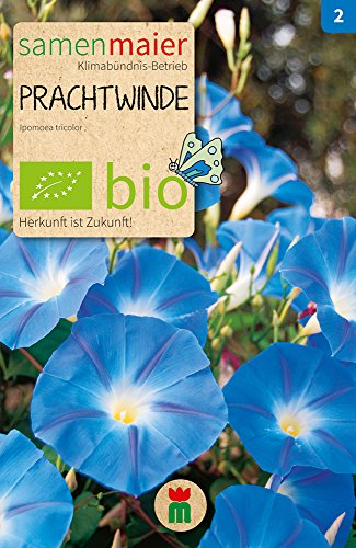 Samen Maier 806 Prachtwinde blau (Bio-Prachtwindensamen) von Samen Maier