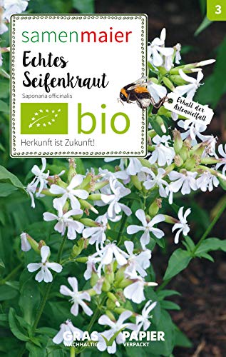 Samen Maier 3021 Echtes Seifenkraut (Bio-WIldblumensamen) von Samen Maier