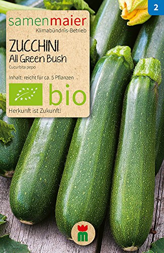 Samen Maier 715 Zucchini All Green Bushgrün (Bio-Zucchinisamen) von Samen Maier