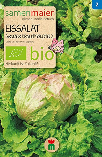 Samen Maier 727 Eissalat Grazer Krauthäuptel 2 (Bio-Eissalatsamen) von Samen Maier