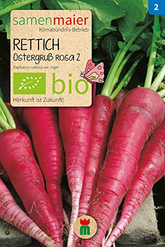 Samen Maier 752 Rettich Ostergruß rosa 2 (Bio-Rettichsamen) von Samen Maier