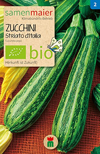 Samen Maier 757 Zucchini Striato d'Italia (Bio-Zucchinisamen) von Samen Maier