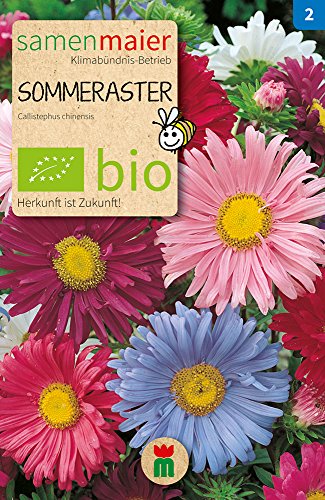 Samen Maier 769 Sommeraster einfache Mischung (Bio-Sommerasternsamen) von Samen Maier