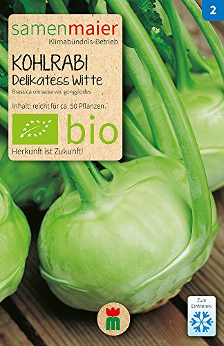 Samen Maier 770 Kohlrabi Delikatess Witte früh (Bio-Kohlrabisamen) von Samen Maier