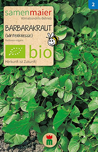 Samen Maier 781 Barbarakraut (Winterkresse) (Bio-Barbarakrautsamen) von Samen Maier