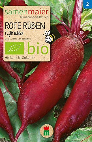 Samen Maier 798 Rote Rübe Cylindra lange (Bio-Rübensamen) von Samen Maier