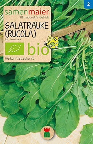 Samen Maier 799 Salatrauke (Rucola) einjährig (Bio-Salatsamen) von Samen Maier