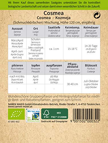 Samen Maier 802 Cosmea (Schmuckkörbchen) Mischung (Bio-Cosmeasamen) von Samen Maier