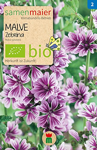 Samen Maier 804 Malve Zebrina (Bio-Malvensamen) von Samen Maier