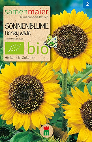Samen Maier 808 Sonnenblume Henry Wilde (Bio-Sonnenblumensamen) von Samen Maier
