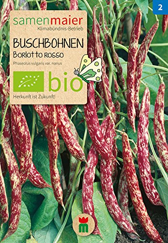 Samen Maier 840 Buschbohne (Auskernbohne) Borlotto rosso (Bio-Buschbohnensamen) von Samen Maier