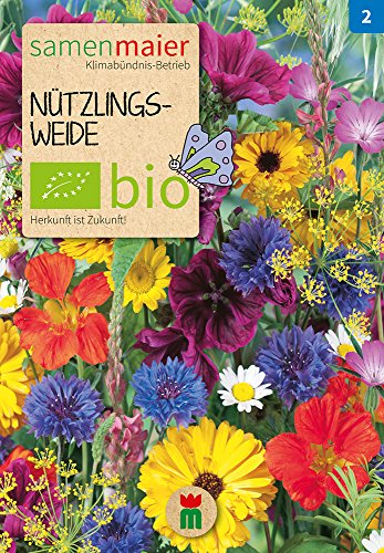 BIO Nützlingsweide Samen - Blumen- und Kräutermischung ein- und mehrjähriger Arten - samenfestes Saatgut aus kontrolliert biologischer Landwirtschaft - für ca. 2 m² - Samen Maier von Samen Maier