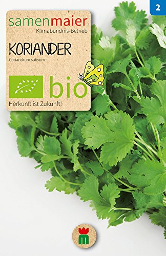 Samen Maier 864 Blattkoriander Gewürzkr. einjährig (Bio-Koriandersamen) von Samen Maier