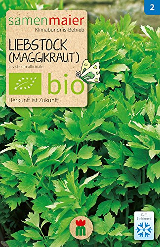 Samen Maier 865 Liebstock (Maggikraut) mehrjährig (Bio-Liebstöckelsamen) von Samen Maier