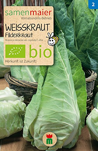 Samen Maier 885 Weißkraut Spitz-Filderkraut spät (Bio-Weißkrautsamen) von Samen Maier