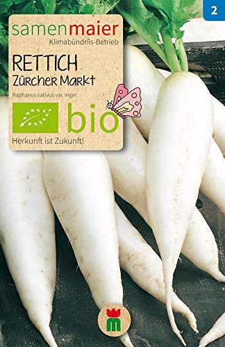 Samen Maier 889 Rettich Zürcher Markt (Bio-Rettichsamen) von Samen Maier